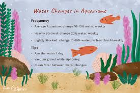 Tips For Changing The Water In Your Aquarium