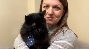Diabetic cat owners in Hampshire say condition is 'full-time job'