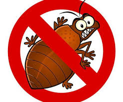 شركة سامس لمكافحة الحشرات 0500495681 خصم35 المثالي شركة المثالي Bed Bugs Bed Bug Bites Rid Of Bed Bugs