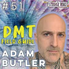 DMT Field Guide