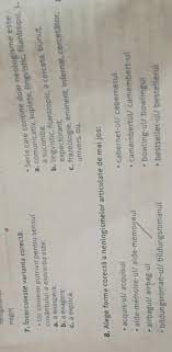Basculante = o singura foaie de. 1 IncercuieÈ™te Varianta CorectÄƒ2 Alege Forma Corecta A Neologismelor Articulate De Mai Jos Ajutor Brainly Ro