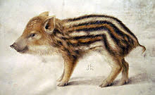 Most boars are neutral when approached and are generally omnivorous. Wild Boar Wikipedia