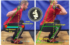 The Real Science Of The Squat Squat University Squats Heath And Fitness Front Squat