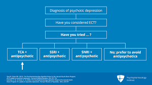 Image result for Depression with Psychotic Features Management
