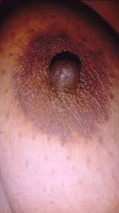 Gita Stepaunty Show Big Big Boobs and Pussy 2025 Part Two ft. Indian Aunty  Sex by Gita Aunty: Indian, Hairy, Tits, Desi, Close-Up Porn | Faphouse