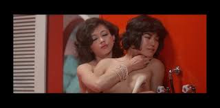 石堂洋子の濡れ場が観れる日活ロマンポルノ映画一覧｜エロ映画研究所