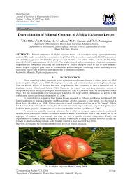 Image result for Blighia unijugata