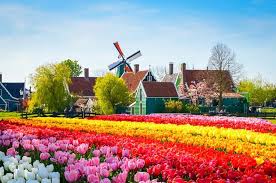 Please begin by selecting the country where you are applying from Vila Dos Minhos Na Holanda Com Campos De Flores Most Beautiful Gardens Big Garden Beautiful Gardens
