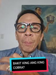 Discovering the King Cobra: The World's Longest Venomous Snake