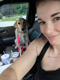 Has any of the doodle bops done the DNA test? Willow and I are curious!!