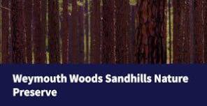 Weymouth Woods: America’s 250 Colonial Pinch Pots
