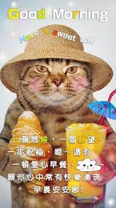 愛心早餐的祝福 早安 in 2020 sweetest day morning greeting good morning