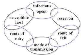 Communicable Diseases Module 1 Basic Concepts In The Transmission Of Communicable Diseases View As Single Page