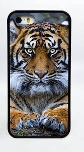 Pin On Tigers Panthers Snd Lots Of Other Animals