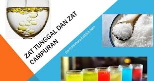 Jadi campuran homogen yang terdiri atas beberapa zat ini ketika telah melebur menjadi satu campuran komponen penyusunnya sudah tidak bisa dibedakan lagi. Ketahui Perbedaan Zat Tunggal Dan Zat Campuran Serta Contohnya Hanya Disini Partnermatematika Com