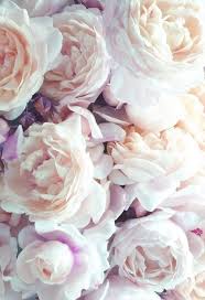 They say that purple is the color of royalty. Purple Flower Background Tumblr Novocom Top