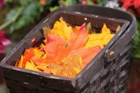 Flower Girls Drop Leaves Instead Of Flower Petals Fall Wedding Flower Girl Toss Fall Wedding Flowers