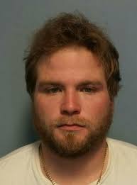 Elsmere Bureau of Police 2016 Annual Report Chief Laura M. Giles