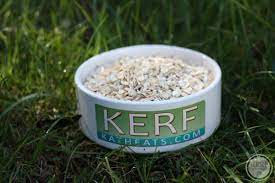 Can You Grow Oats At Home Kath Eats Real Food