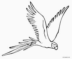 Printable Parrot Coloring Pages For Kids Cool2bkids Coloring Pages Bird Coloring Pages Bird Drawings