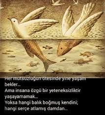 Insanaozgu Ozlu Sozler Bilgece Sozler Edebiyat