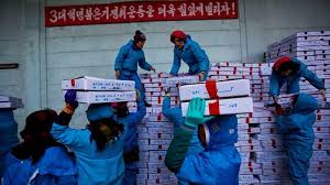 Hobi yang menghasilkan rupiah adalah dambaan semua orang, langsung saja berikut beberapa jenis pekerjaan yang bisa. Potret Pekerja Wanita Di Korea Utara Foto Tempo Co