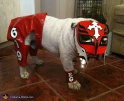 Rey Mysterio Halloween Costume Contest At Costume Works Com Wrestling Costumes Pet Halloween Costumes English Bulldog Clothes