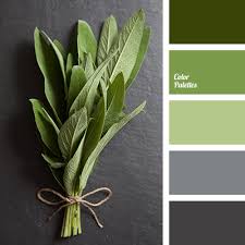 Explore and shop them all here. Gray And Light Green Color Palette Ideas