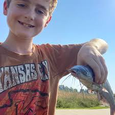 ᐅ Lake Bentonville fishing reports🎣• Bentonville, AR (United States)  fishing