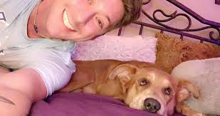 Do you by chance recognize this dog? Someone found him running down the  highway close to White River Estates. No tag, no chip. She took him to All  Creatures