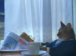 images Cat Reading Newspaper Meme Blank
