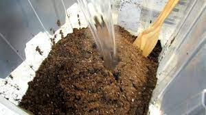 Check spelling or type a new query. Seed Starting Basics Sterilizing Your Mix Thumb Packing Cells Over Seeding Herbs Onions Youtube