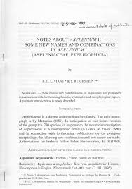 Image result for Asplenium rutshuruense