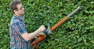 Doch wann ist hierfür der richtige zeitpunkt? Buchenhecken Schneiden Mein Schoner Garten