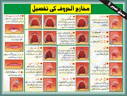 Learn Quran With Tajweed Rules With Best Guidance For Kids