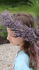 Find yourself … in Lavender @saltboxlavenderfarm . , “A little place