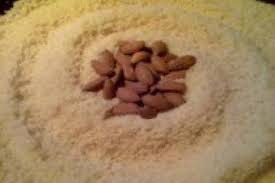 Comment Conserver Des Amandes En Poudre Recette Poudre Amande Amande Farine D Amande