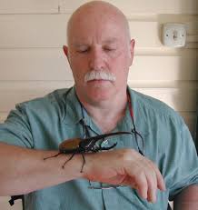 A catalogue of the Coleoptera of the Dutch Antilles in: Tijdschrift voor  Entomologie Volume 162 Issue 2-3 (2019)