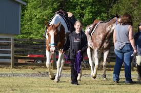 Profile for Horse of a Different Color Photography