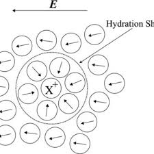 Maybe you would like to learn more about one of these? A Schematic Drawing Of Water Molecules Around A Monovalent Cation In Download Scientific Diagram