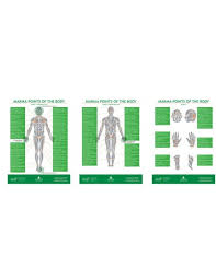 Marma Therapy Chart Set Of 3 By Dr S Ajit Bams