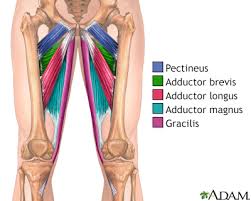 Image result for sore skin in the groin area