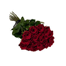Maybe you would like to learn more about one of these? Classic Rose Stems Beverly Hills Onlyroses