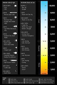 When used in homes, this tone tends to work well with cooler color schemes such as. Light Temperature Greater Mainland Electric