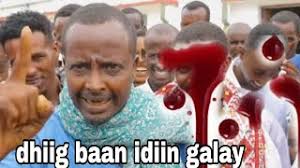 Dhiig baan idiin galay "Gabay Cajiib ah Abwaan faadhigo"