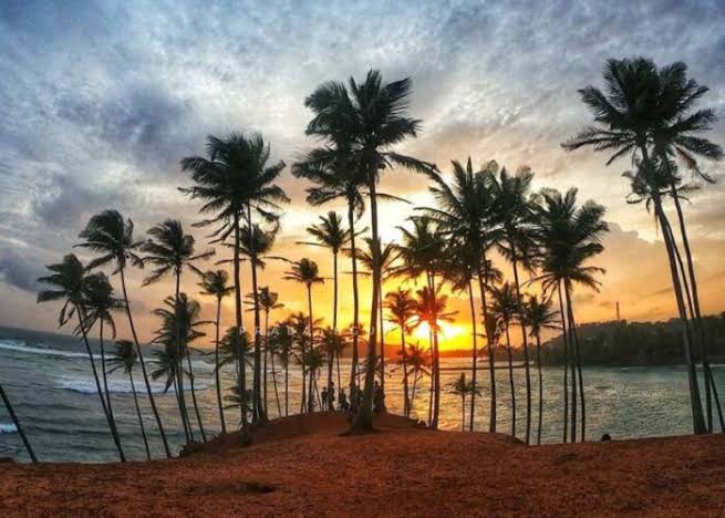 Coconut Hill Mirissa – Iconic Palm Viewpoint on Sri Lanka's Coast - Shan Travels