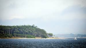 Julian weich se mostró muy disconforme con los programas de la televisión actual y aseguró que ya no hay un interés en hacer una televisión de calidad.sus críticas fueron, sobre todo, hacia los noticieros y los programas de chimentos, que según él tienen un formato que busca hacer daño. Con Julian Weich Conductor De Television Y Actor Argentino Radiomundo En Perspectiva