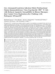 Jun li took his phone and sat in front of his computer. Pdf Live Attenuated Lentivirus Infection Elicits Polyfunctional Simian Immunodeficiency Virus Gag Specific Cd8 T Cells With Reduced Apoptotic Susceptibility In Rhesus Macaques That Control Virus Replication After Challenge With Pathogenic Sivmac239
