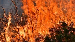 Σύμφωνα με το eviathema.gr, λίγο μετά τις 10 το βράδυ της Xzntgrghbxzcmm