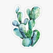 Have you ever wanted to learn how to paint loose watercolor flowers? Cactus Stickers Redbubble